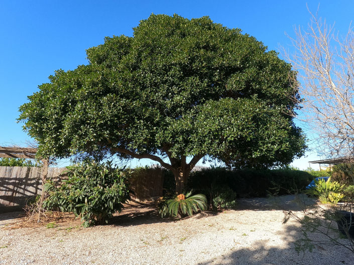 Image No.21-3 Bed Country House for sale