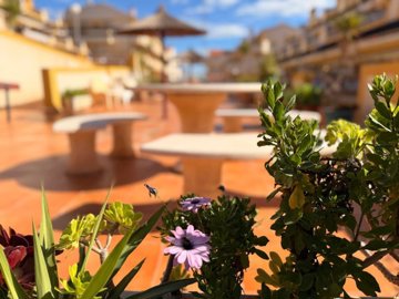 74866amapolastownhouseplayaflamenca31