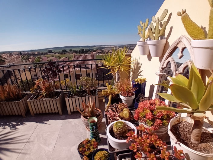 Image No.29-Maison de ville de 2 chambres à vendre à Algorfa