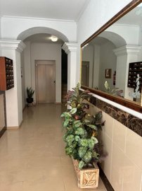 wwhatsapp-image-2026-02-24-at-203517-26-