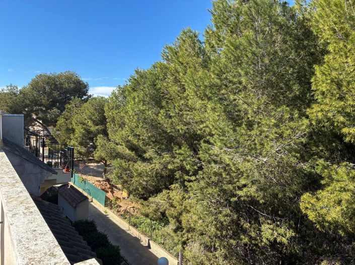 Image No.14-Appartement de 2 chambres à vendre à Algorfa