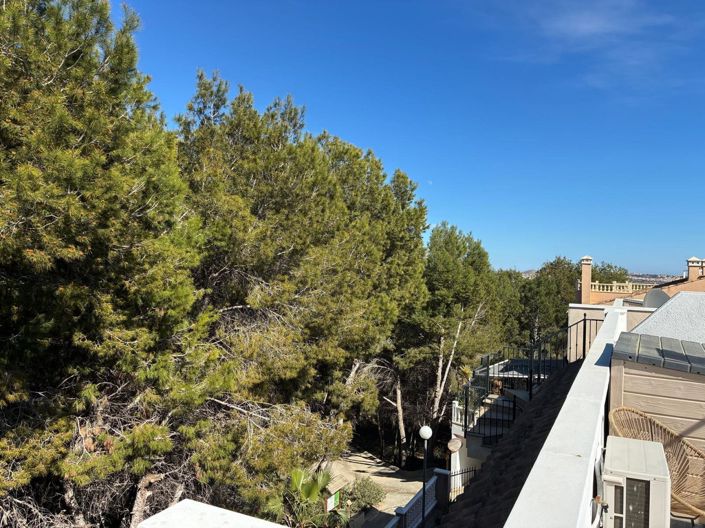 Image No.15-Appartement de 2 chambres à vendre à Algorfa