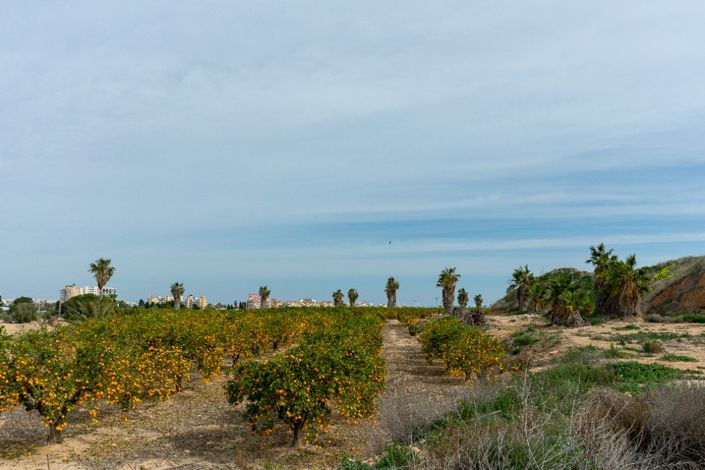 Image No.43-2 Bed Villa for sale