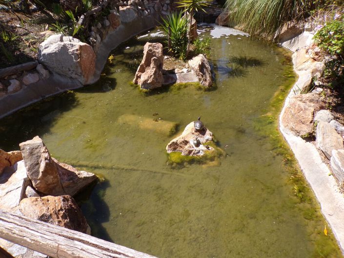 Image No.27-2 Bed Apartment for sale