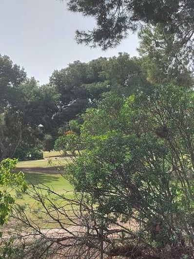 Image No.17-1 Bed Apartment for sale