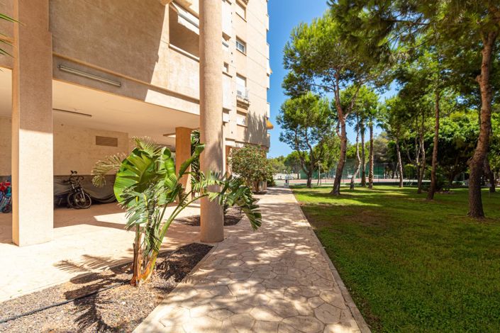 Image No.21-1 Bed Apartment for sale