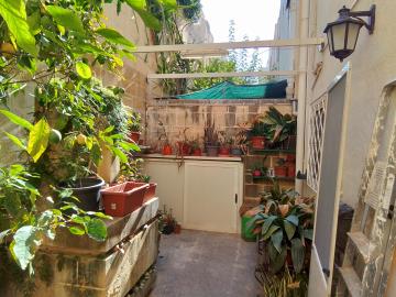 86-back-yard