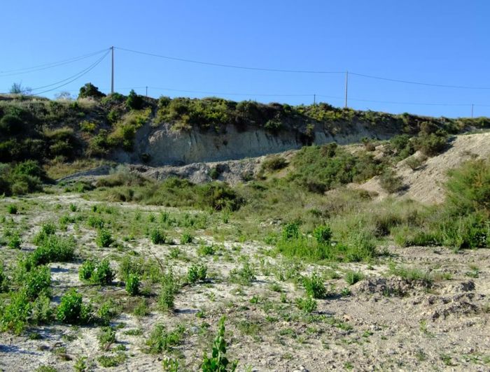 Image No.6-2 Bed Country House for sale