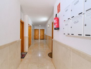 146164lg