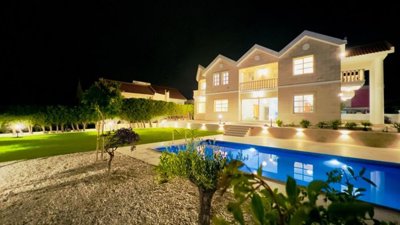 Detached Villa For Sale  in  Limassol