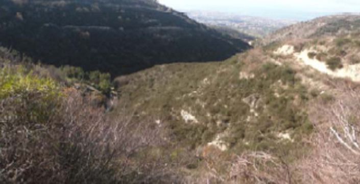 Image No.2-Land for sale