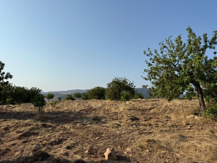 Image No.2-Terre à vendre à Paphos