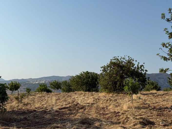 Image No.3-Terre à vendre à Paphos