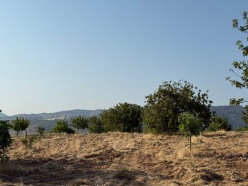 Residential Land For Sale  in  Tala