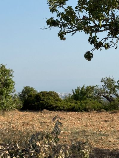 Image No.5-Terre à vendre à Paphos