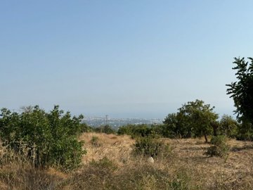 Residential Land For Sale  in  Tala