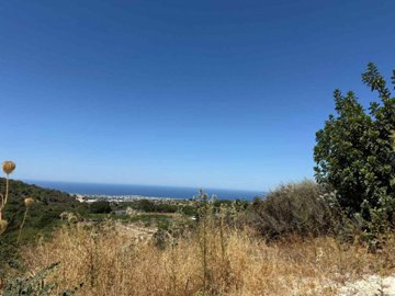 Residential Land For Sale  in  Tsada