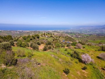 Residential Land For Sale  in  Drouseia