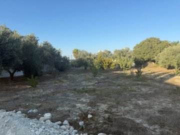 Residential Land For Sale  in  Koili