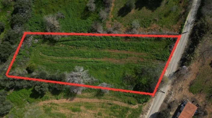 Image No.4-Terre à vendre à Polemi