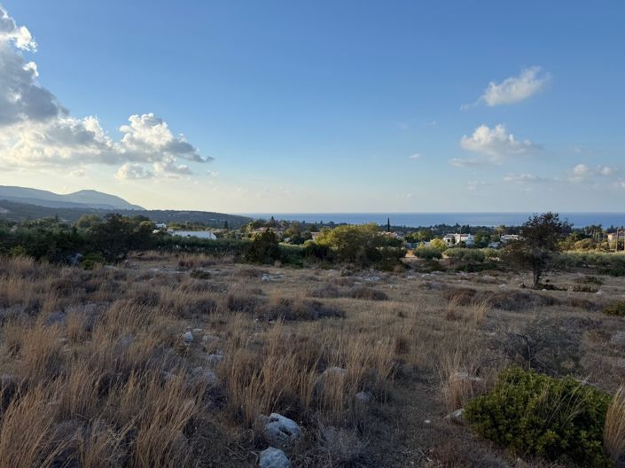 Image No.2-Terre à vendre à Lachi