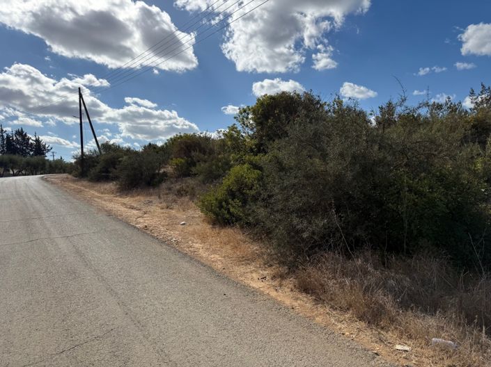 Image No.5-Terre à vendre à Lachi