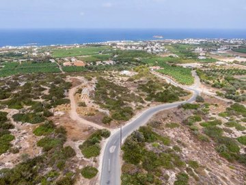 Agricultural Land For Sale  in  Peyia