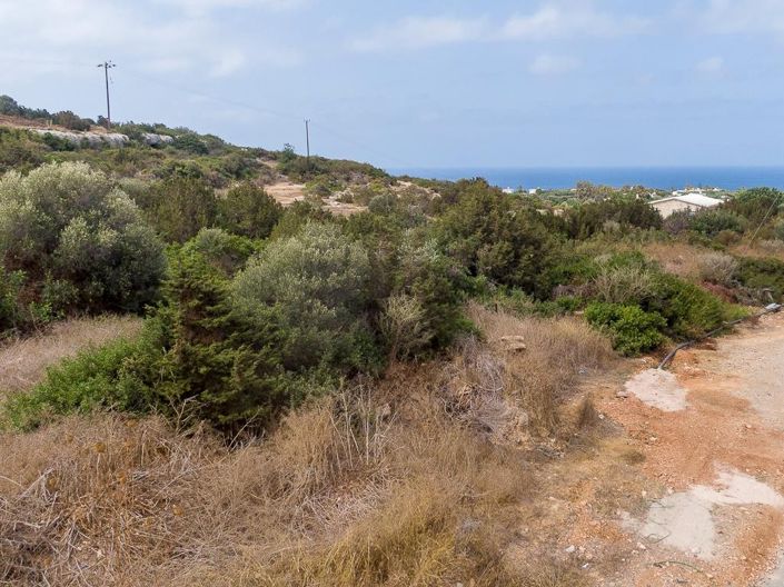 Image No.4-Terre à vendre à Peyia