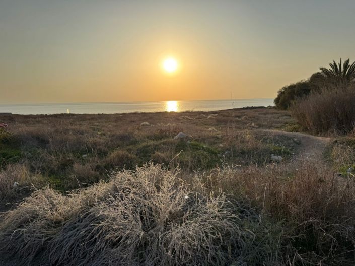 Image No.2-Land for sale