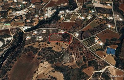Agricultural Land For Sale  in  Neo Chorio