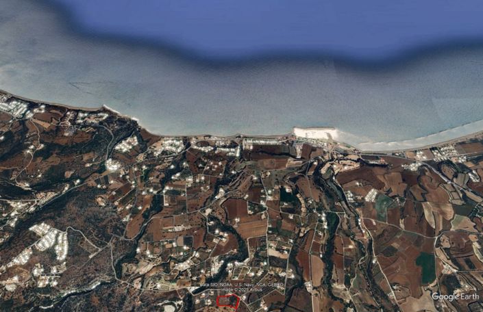 Image No.1-Terre à vendre à Neon Chorion