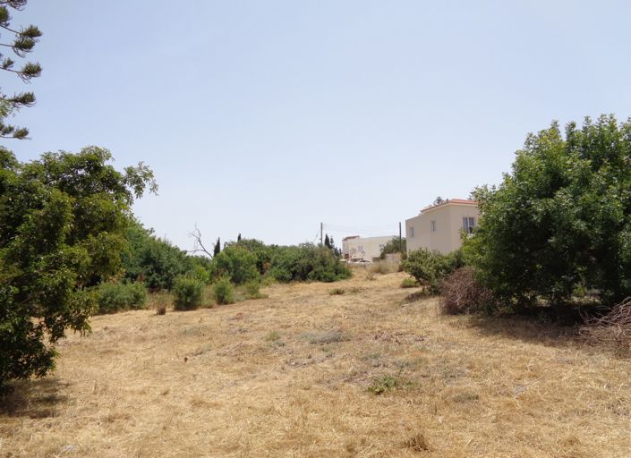 Image No.2-Terre à vendre à Konia