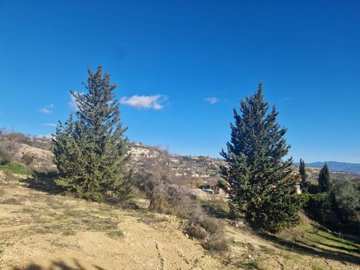 Residential Land For Sale  in  Tsada