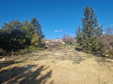 Residential Land For Sale  in  Tsada