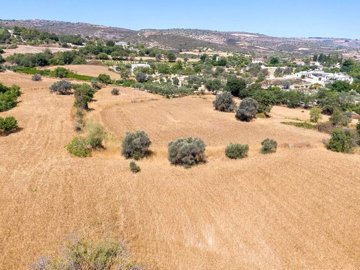 Residential Land For Sale  in  Pano Akourdaleia