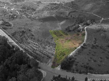 Field - Choletria, Paphos