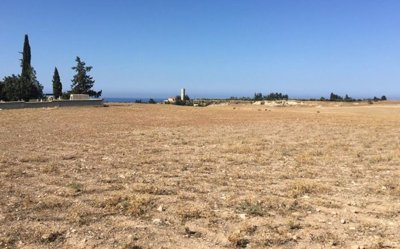 Field in Timi, Paphos