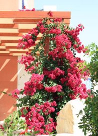 Detached Villa For Sale  in  Acheleia