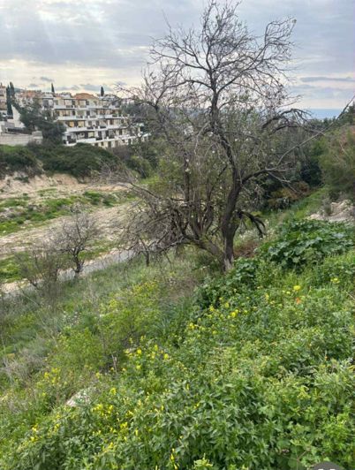 Image No.2-Terre à vendre à Peyia