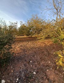 Residential Land For Sale  in  Ineia