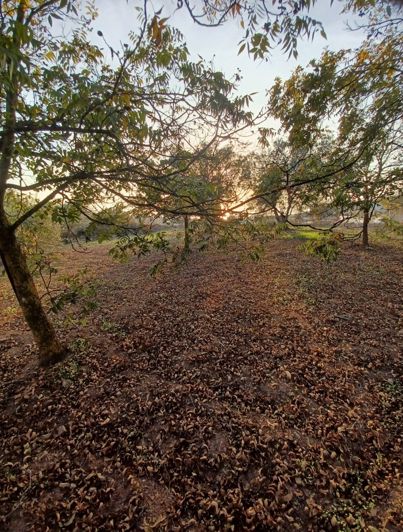 Image No.3-Land for sale