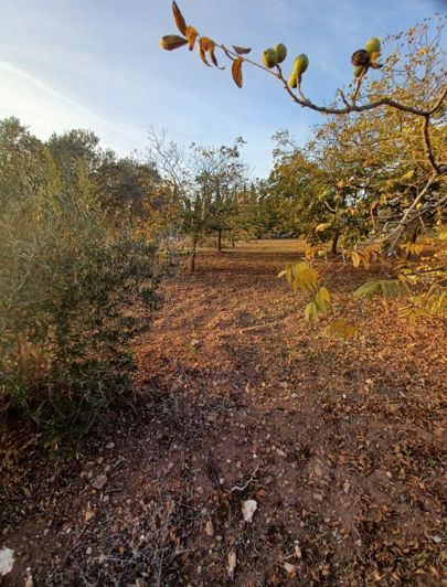 Image No.4-Land for sale