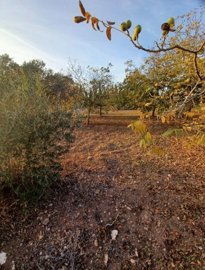 Residential Land For Sale  in  Ineia