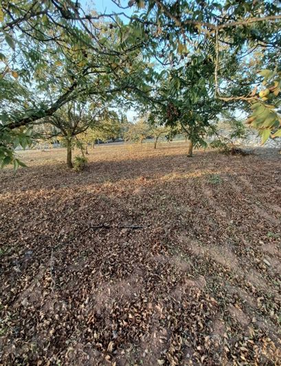 Image No.5-Land for sale