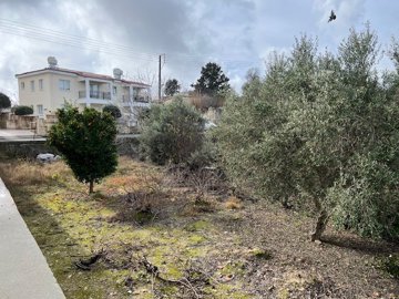 Residential Land For Sale  in  Tsada