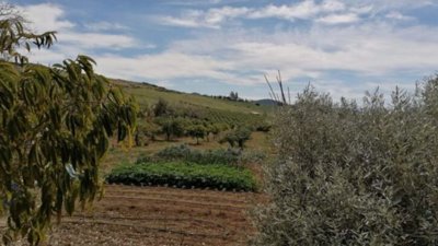 96262-country-house-for-sale-in-alora-5222770