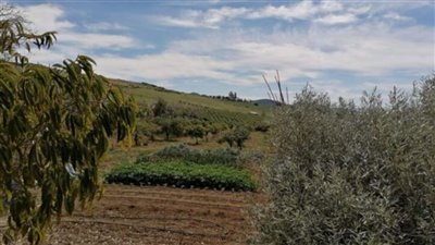 96262-country-house-for-sale-in-alora-5222770