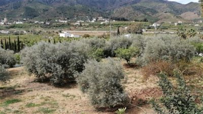 96262-country-house-for-sale-in-alora-5222770