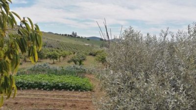 96262-country-house-for-sale-in-alora-5222770