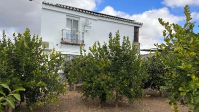100805-country-property-for-sale-in-alora-534